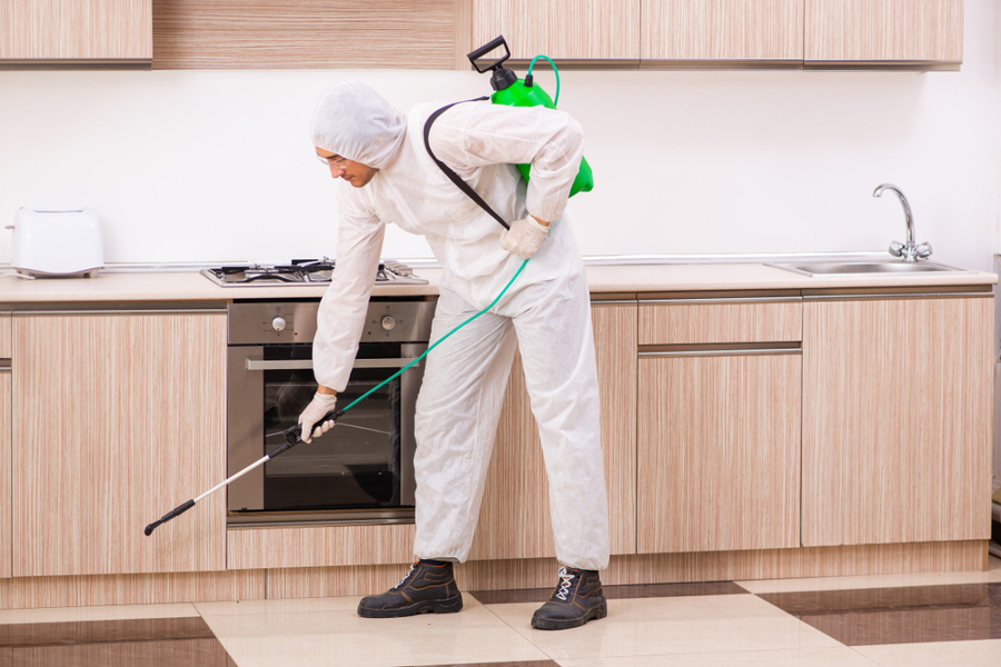 Multi Pest Treatment (Custom) | Amazon Pest