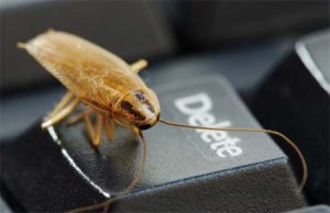 german-cockroach treatment
